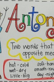 Finding Antonyms