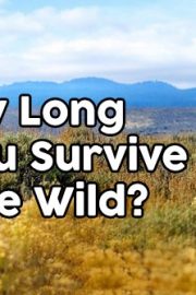 What would you do? Do you have what it takes to survive? Part III